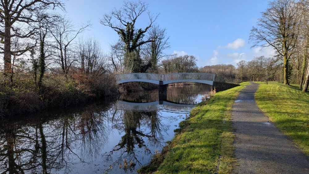 River showing reflection of tree and bridge