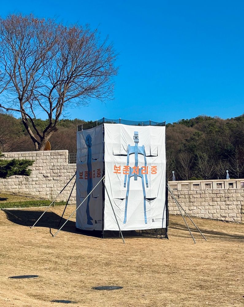 보로프스키 보존처리중