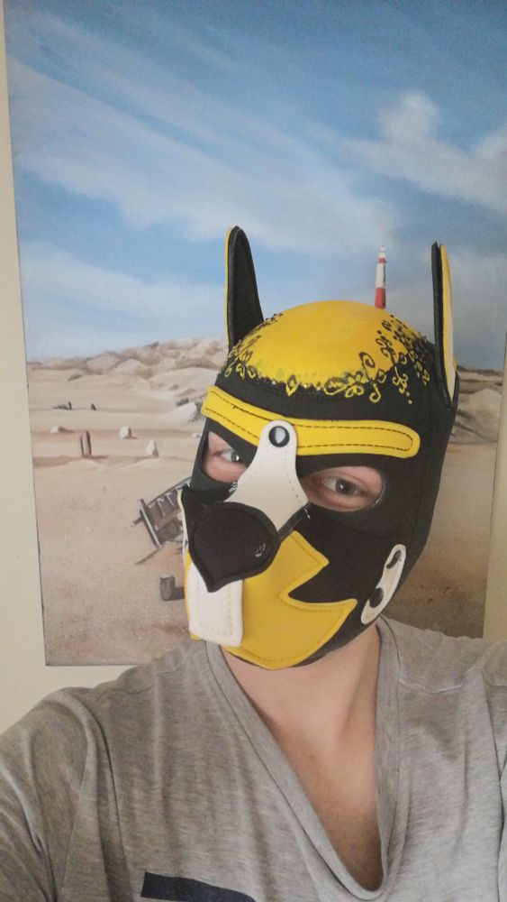 Yellow, black and white puppy play hood with a detailed crown 