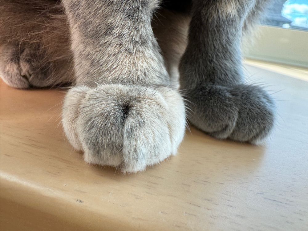 お  て  て