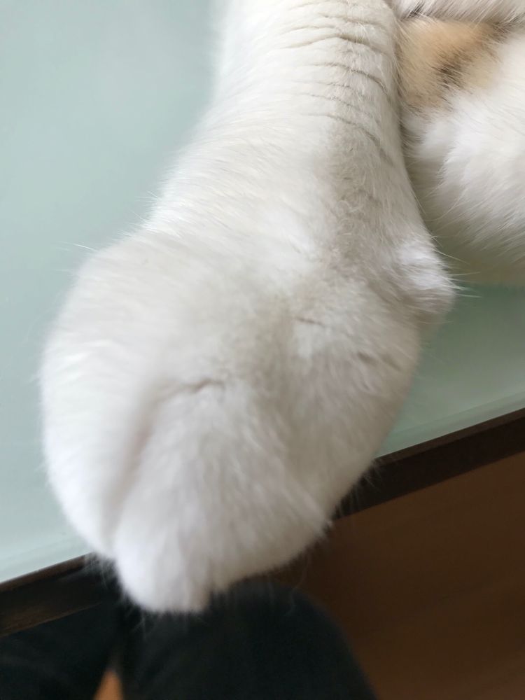 お  て  て