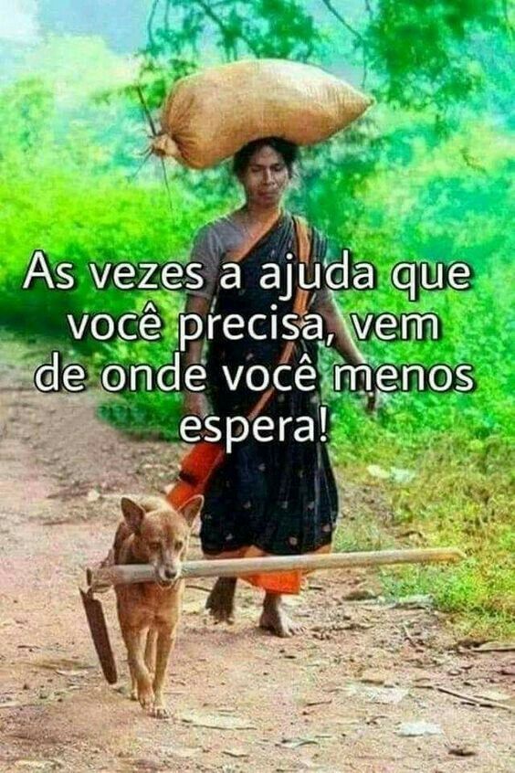 Local: Estradinha de terra com mato nas laterais. Mulher carrega saco na cabeça. Cão carrega enxada pelo cabo na boca. Texto: As vezes a ajuda que você precisa, vem de onde menos espera.