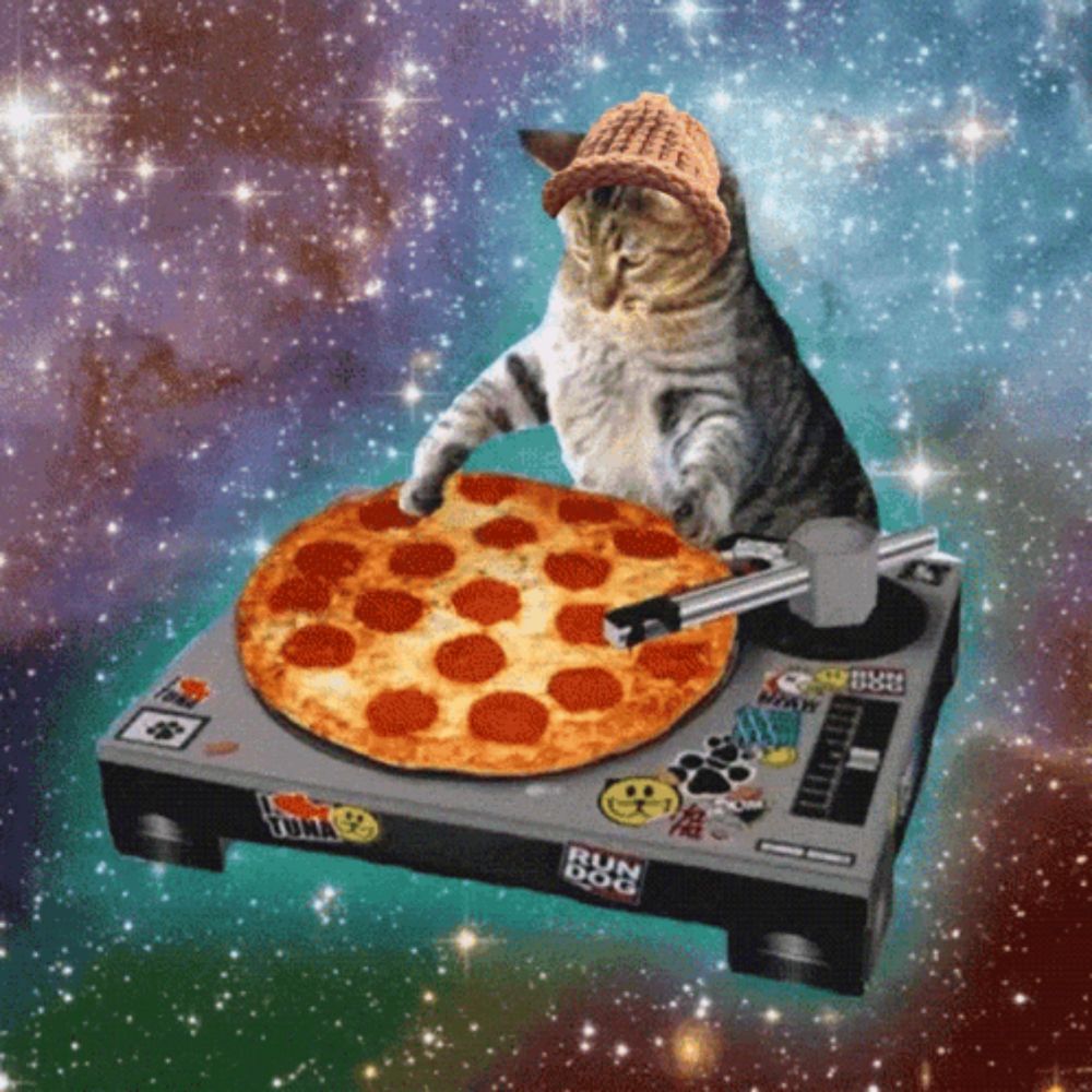 a cat is holding a pepperoni pizza on a turntable that says run dog