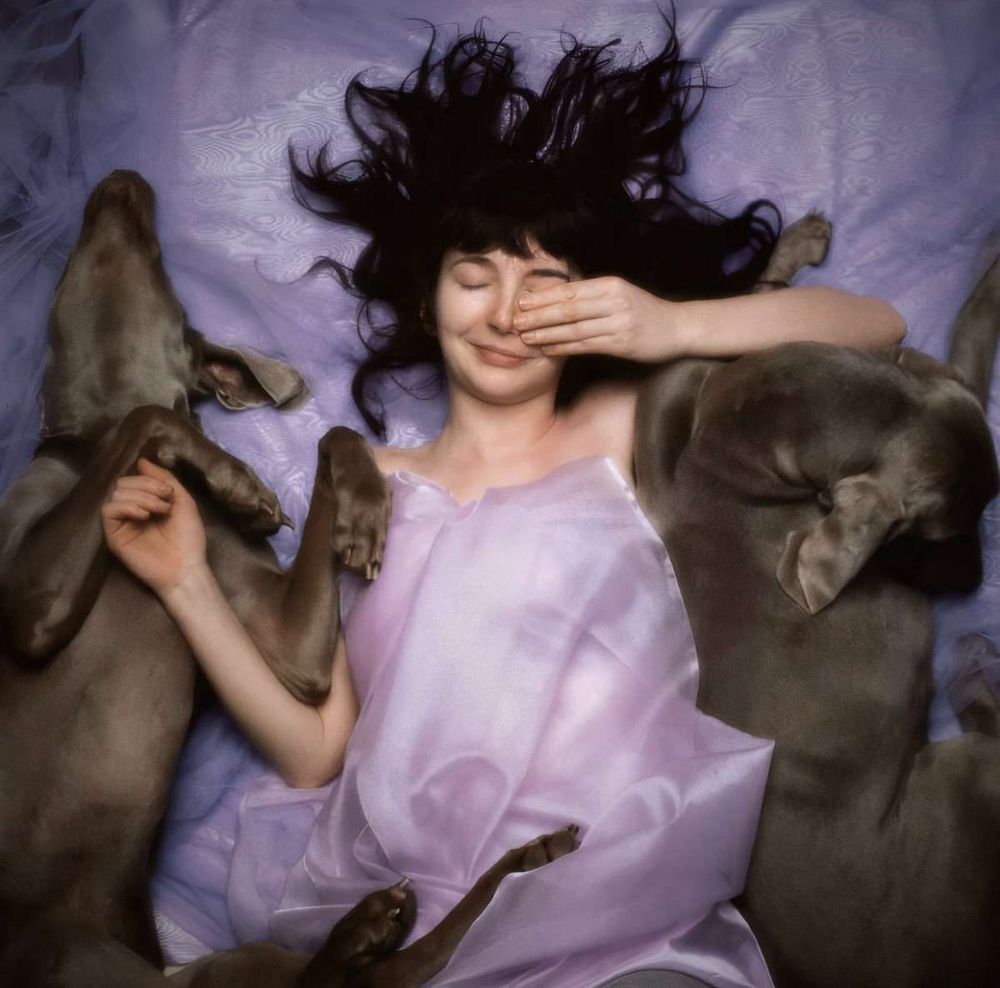 Kate Bush with the Weimaraners, named Bonnie and Clyde, during the photo shoot for 'Hounds of Love', photographed by her brother John Carder Bush. Against the purple sheets, the two dogs and Bush pose.