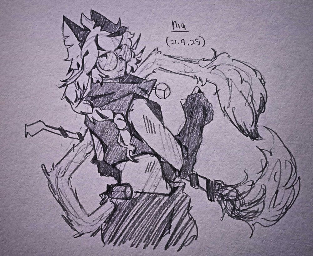 a cat apparently