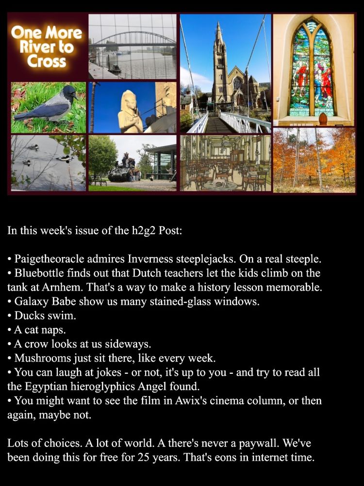 In this week's issue of the h2g2 Post:

Paigetheoracle admires Inverness steeplejacks. On a real steeple.
Bluebottle finds out that Dutch teachers let the kids climb on the tank at Arnhem. That's a way to make a history lesson memorable.
Galaxy Babe show us many stained-glass windows.
Ducks swim.
A cat naps.
A crow looks at us sideways.
Mushrooms just sit there, like every week.
You can laugh at jokes - or not, it's up to you - and try to read all the Egyptian hieroglyphics Angel found.
You might want to see the film in Awix's cinema column, or then again, maybe not.

Lots of choices. A lot of world. A there's never a paywall. We've been doing this for free for 25 years. That's eons in internet time.

This Week's Title: One More River to Cross. Clockwise from upper left: a bridge, steeplejacks on a church, a stained-glass window, an autumn forest, a cafe sketch, kids on a tank, mergansers in a river, a hooded crow on grass, and an Egyptian statue.