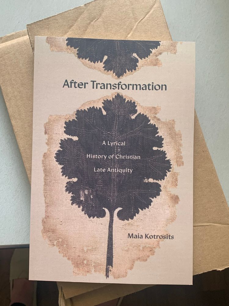 photograph of Maia Kotrosits’ “After Transformation” 