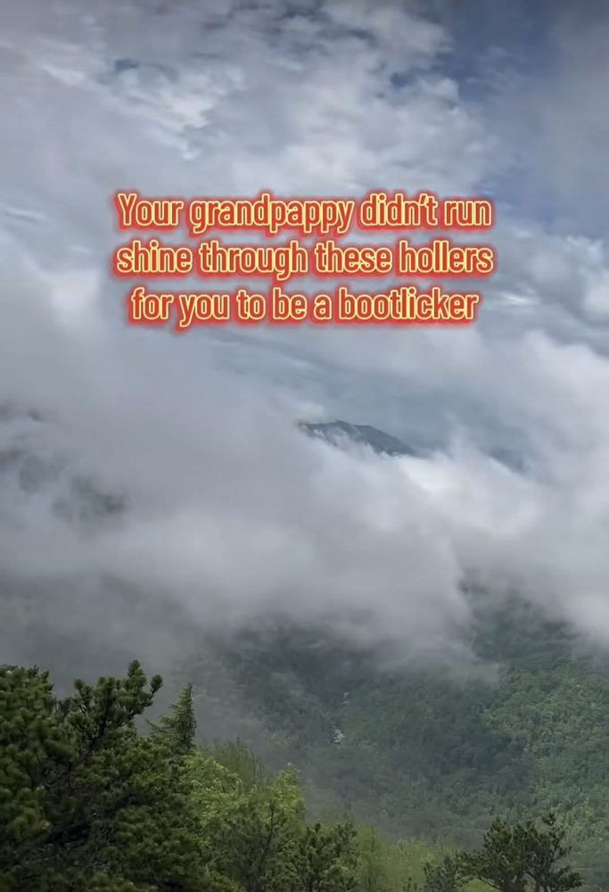 Photo of eastern us mountains shrouded in fog with text reading “Your grandpappy didn’t run shine through these hills for you to be a bootlicker”