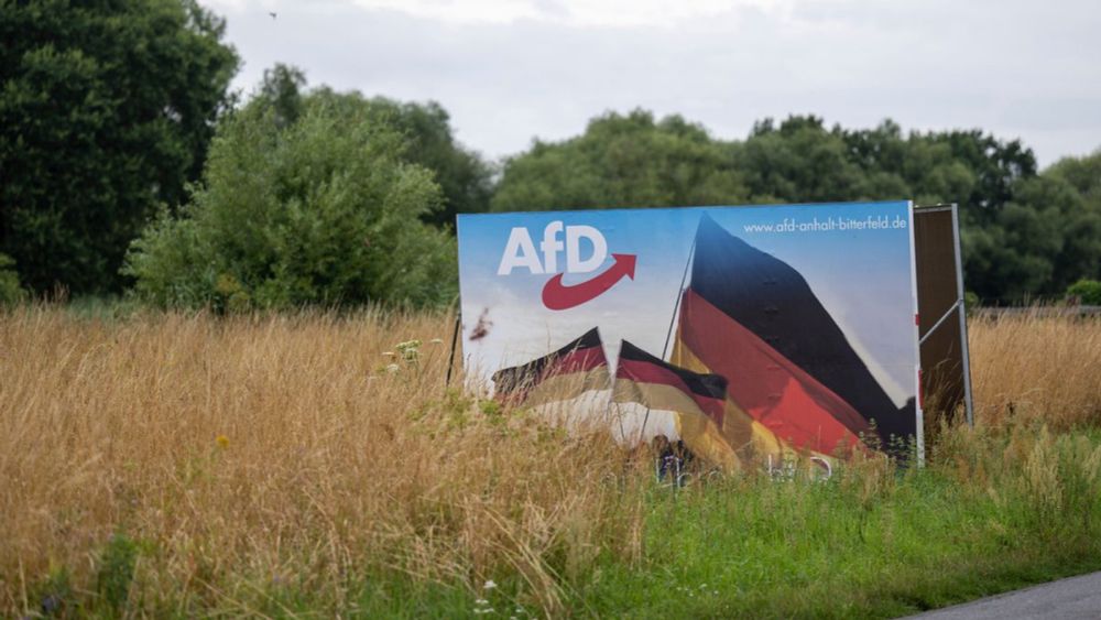 (S+) Kampf gegen die AfD: Gefühle ansprechen im Kampf gegen die extreme Rechte