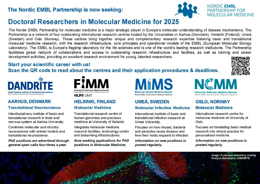 Call for Doctoral Researchers in Molecular Medicine 2025 is open
