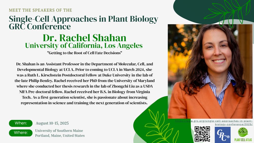 Promotional image for the "Single-Cell Approaches in Plant Biology GRC Conference" focusing on meeting the speakers. This promo includes an image of Dr. Rachel Shahan from UCLA with a short bio on Dr. Shahan. 