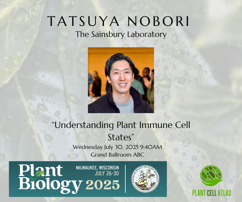 Promotional image with a transparent, leafy green background. The text on the image reads, "Tatsuya Nobori, The Sainsbury Laboratory. 'Understanding Plant Immune Cell States' Wednesday July 30, 2025 9:40PM. Grand Ballroom ABC." The promo also has an image of Tatsuya, a man with dark hair, wearing a gray shirt and black jacket, as well as the logos for the ASPB Plant Biology Conference and the Plant Cell Atlas.