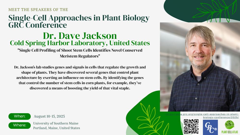 Promotional image for the "Single-Cell Approaches in Plant Biology GRC Conference" focusing on meeting the speakers. This promo includes an image of Dr. David Jackson from Cold Spring Harbor Laboratory with a short bio on Dr. Jackson. 
