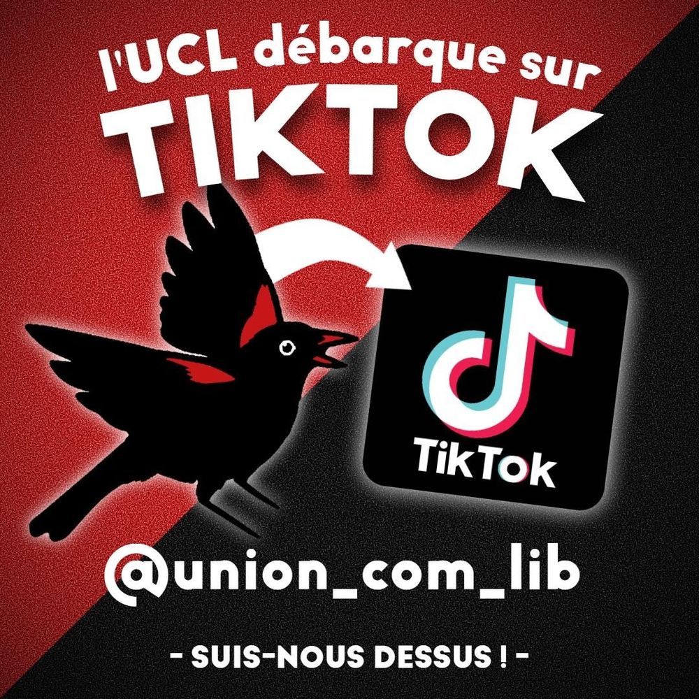 image répetant le texte du blusk