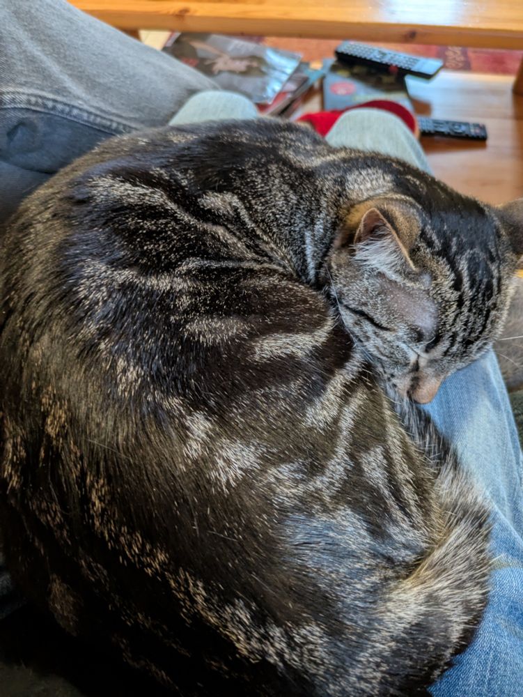 Tertone sleeping on me 