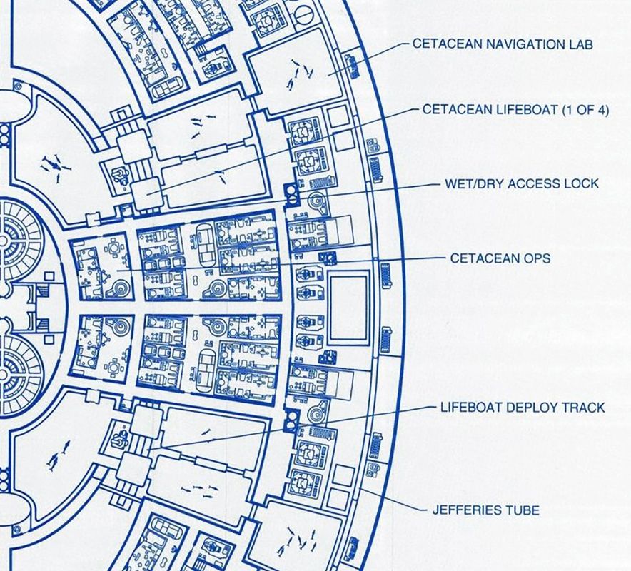 A plan view technical drawing of the forward half of deck 13 of the USS Enterprise NCC-1701-D which depicts cetacean ops and the several large aquatic tanks for whales and dolphins.