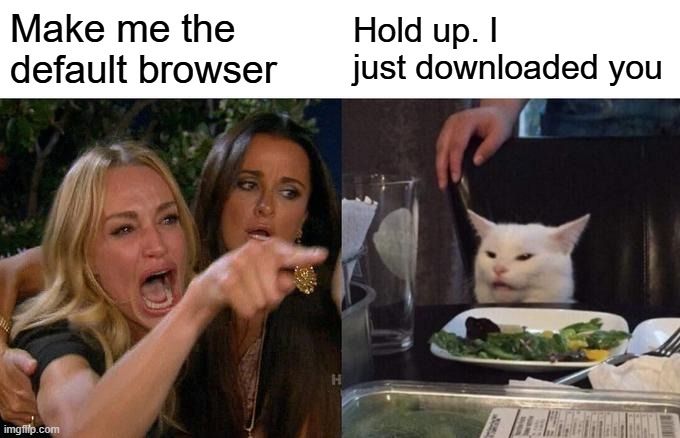 Woman yelling at a cat meme. The woman says "Make me the default browser". The cat is like "Hold up. I just downloaded you"