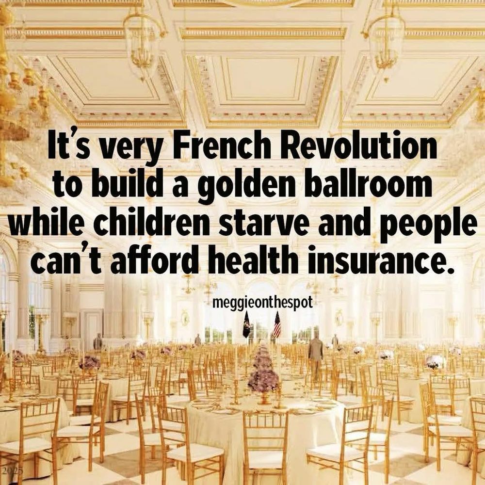Meme: It's very French Revolution to build a golden ballroom while children starve and people can't afford health insurance.
meggieonthespot