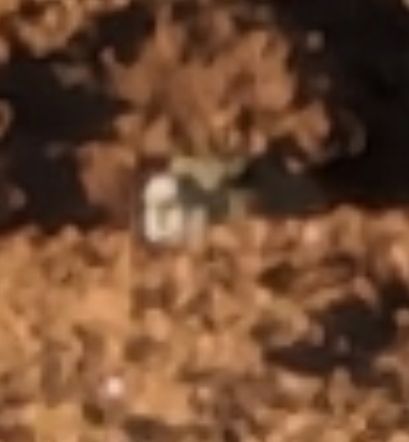 Comment image
