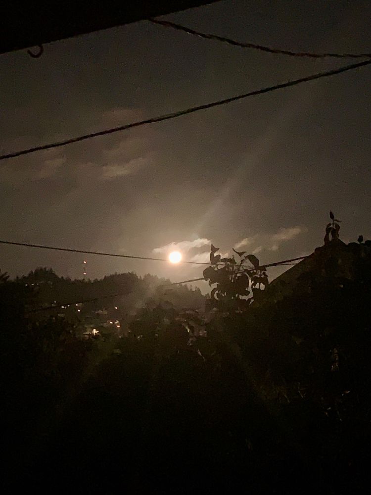 The nearly full super moon setting over the west hills of Portland, taken from my front porch, which frames the shot. Trees, a warehouse, and wires criss cross the sky in front of a very bright moon, very near the horizon in clear pre dawn condition with a smattering of thin, gossamer clouds
