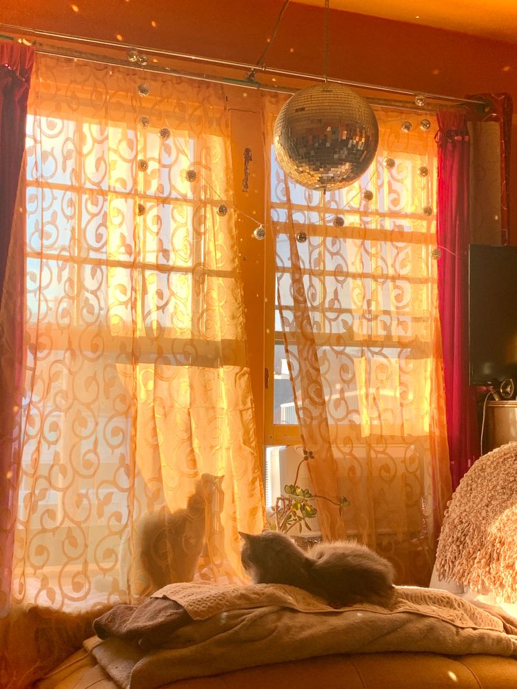 Warm sunset light filtered by yellow gold sheer curtains with a swirl vine pattern. My cats Jane The Magnificent and Tarzan the Maine Coon are hanging out. Jane is behind the curtain with her shadow falling across it, and Tarzan is laying on some rumpled folded blankets set over a beige chaise. Both cats are seniors and Tarzan has been declining for about 4 months. I’m doing what I can to keep him comfy and clean and he’s still so sweet and mellow. Jane is doing better but she is 17 now too. The kitties have been sweethearts all their lives. The room is painted orange and yellow, and a disco ball hangs above in the sash, reflecting dots of sunset light across the scene. 