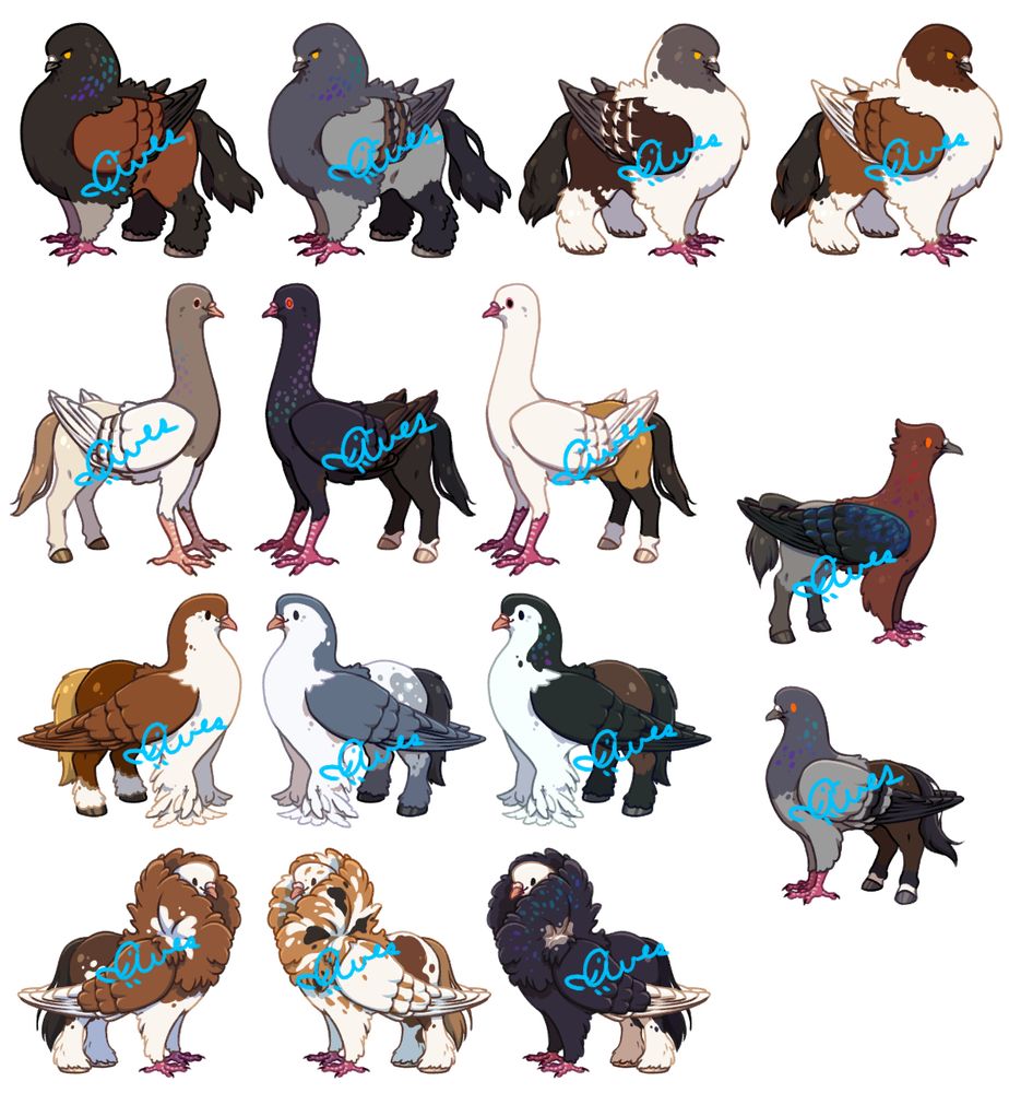 Digital drawings of "pigeogriffs", which are hippogriffs that are part pigeon instead of eagle. There are a variety of pigeon breeds combined with a variety of horse breeds. 