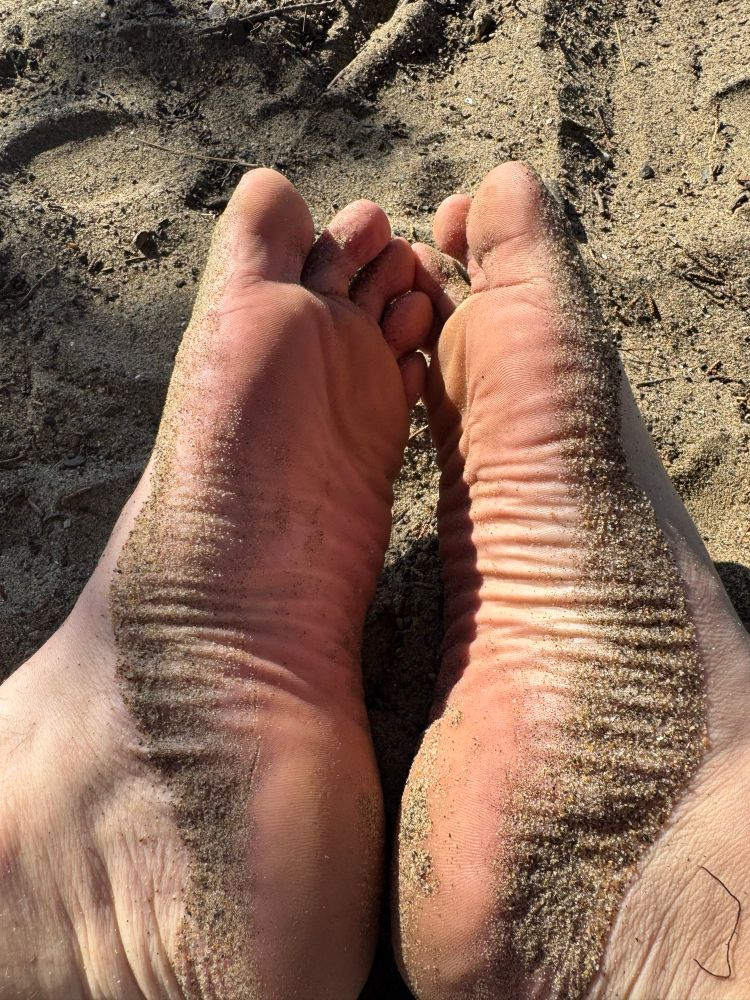sandy arches