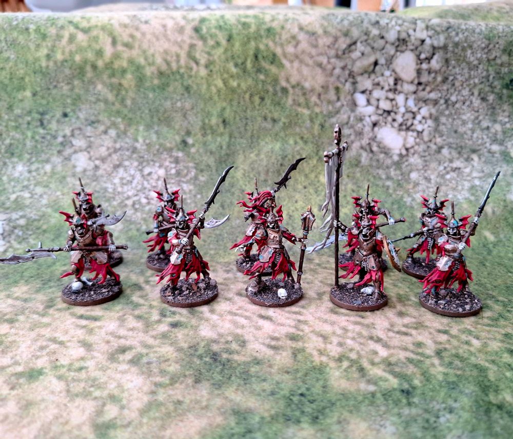 10 painted Games Workshop Barrow Guard for Spearhead