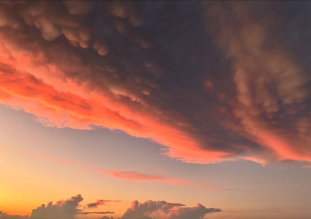 Bright pink clouds at sunset. 