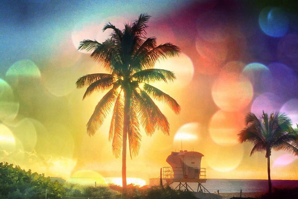 Sunny beach morning with palm trees and a lifeguard station 