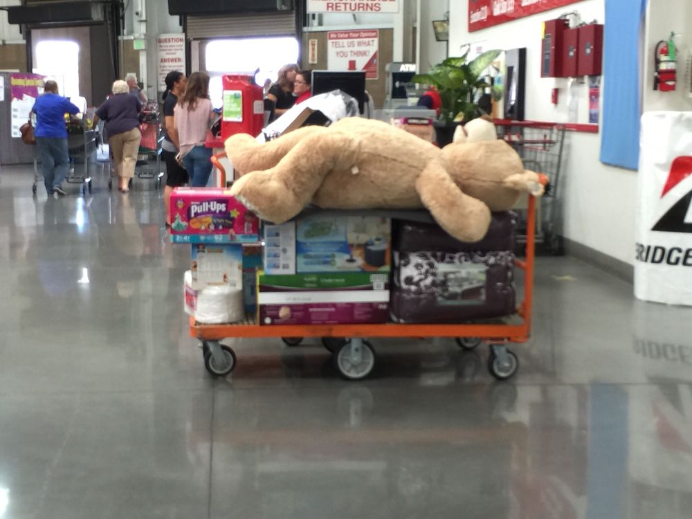 I ain’t pushing this damn cart no more, somebody else’s turn.