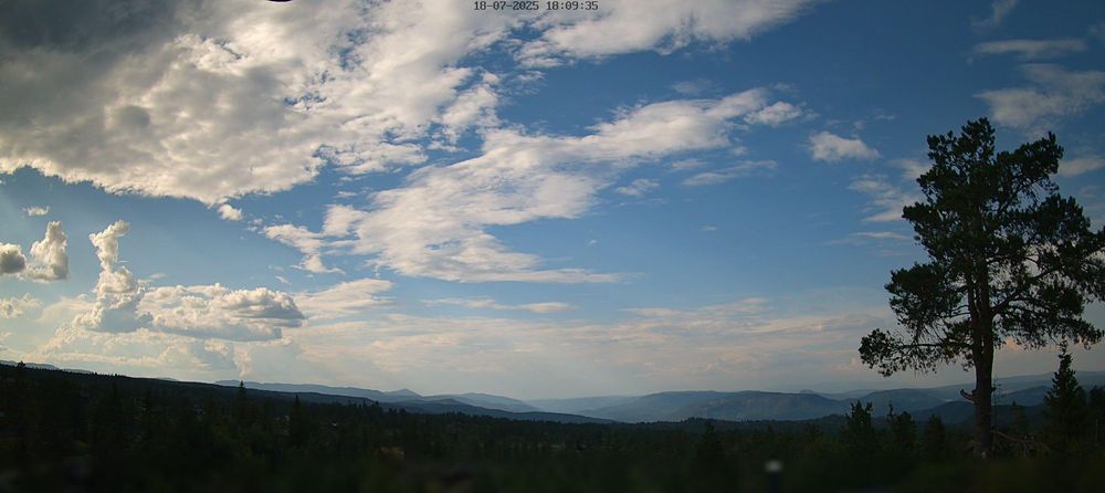 This webcam usually shows a view of the sky with a singular tree on the right side of the image, and more trees further in the distance. It's a cloudy day. It's 68ºF/20ºC.