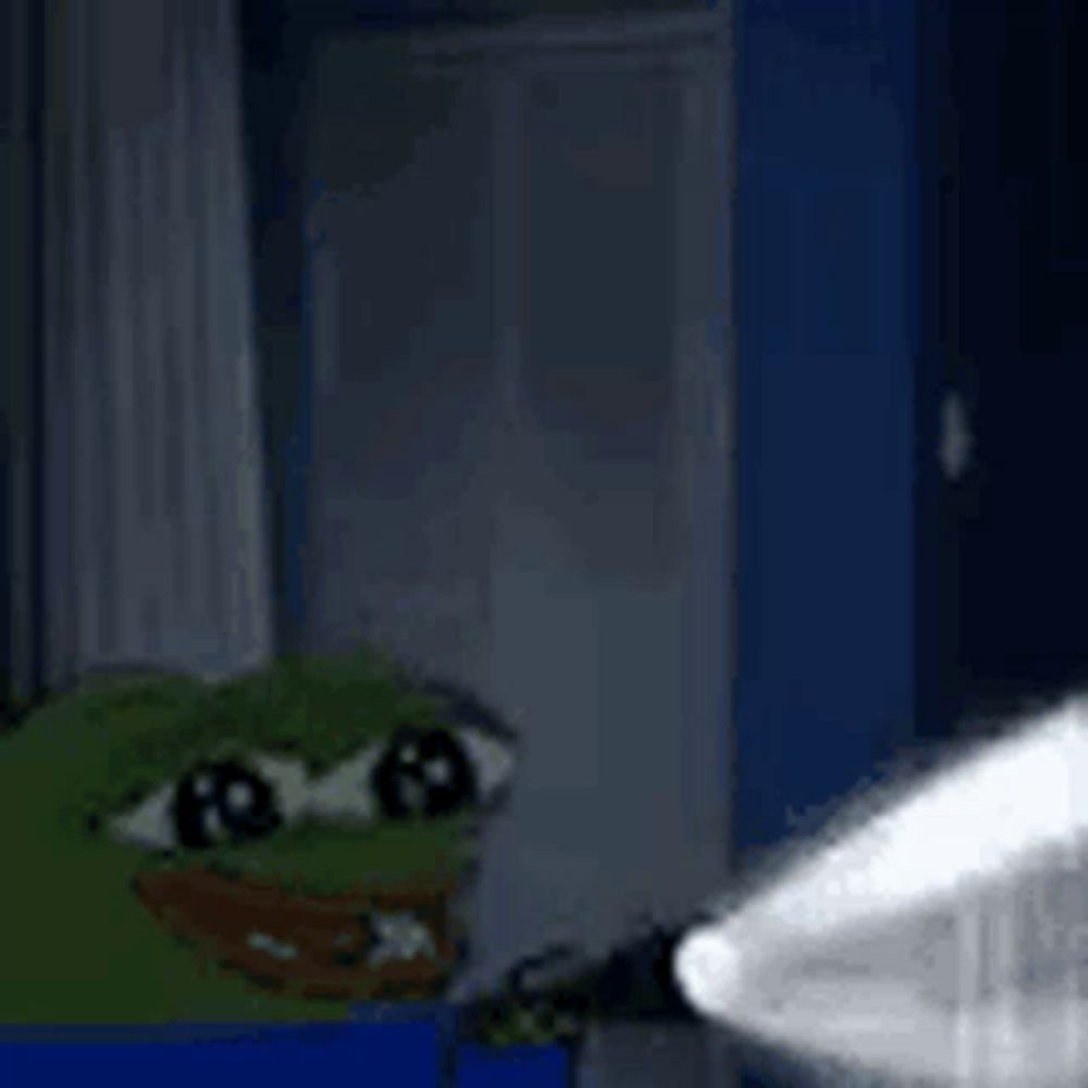 a cartoon frog is holding a flashlight in the dark .