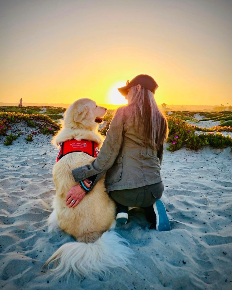 Sampson and Mom are sitting on a beach at sunset. They are looking at each other happily and lovingly. The sun is setting between them. Sam is wearing his red service dog vest.