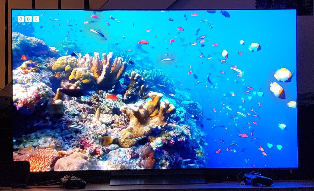 Photo of an underwater scene on a large television. There are lots of coral and fish.