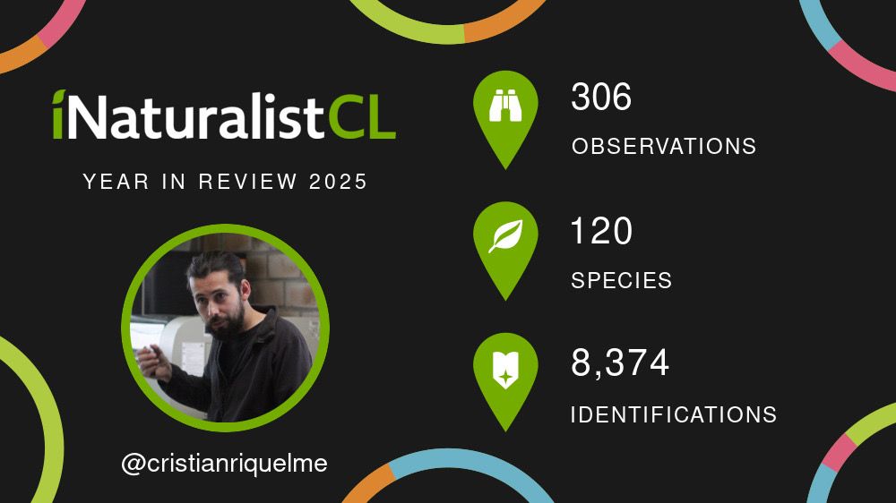 My iNaturalist year in review 2025: 306 observations, 120 species, and 8374 identifications.