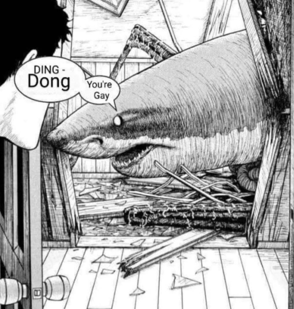 A shark that has forced it's way through a doorway saying "ding-dong you're gay"