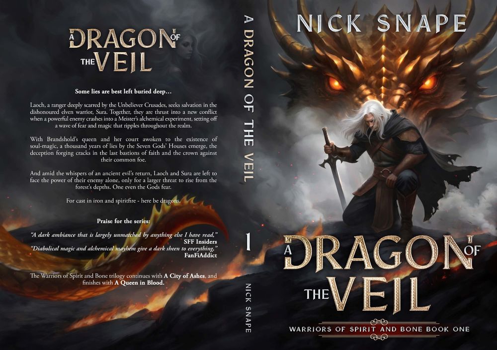 The new paperback cover for A Dragon in the Veil, by Nick Snape.