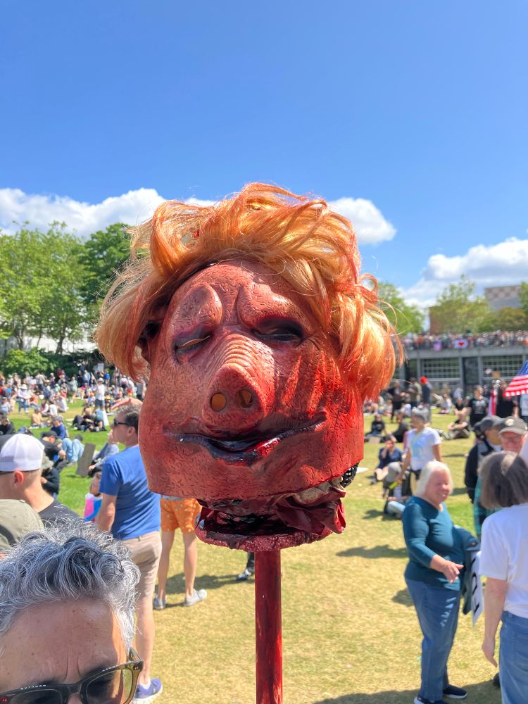 A bloody pigs head effigy with yellow wig impaled on a pole at Seattle Center. 