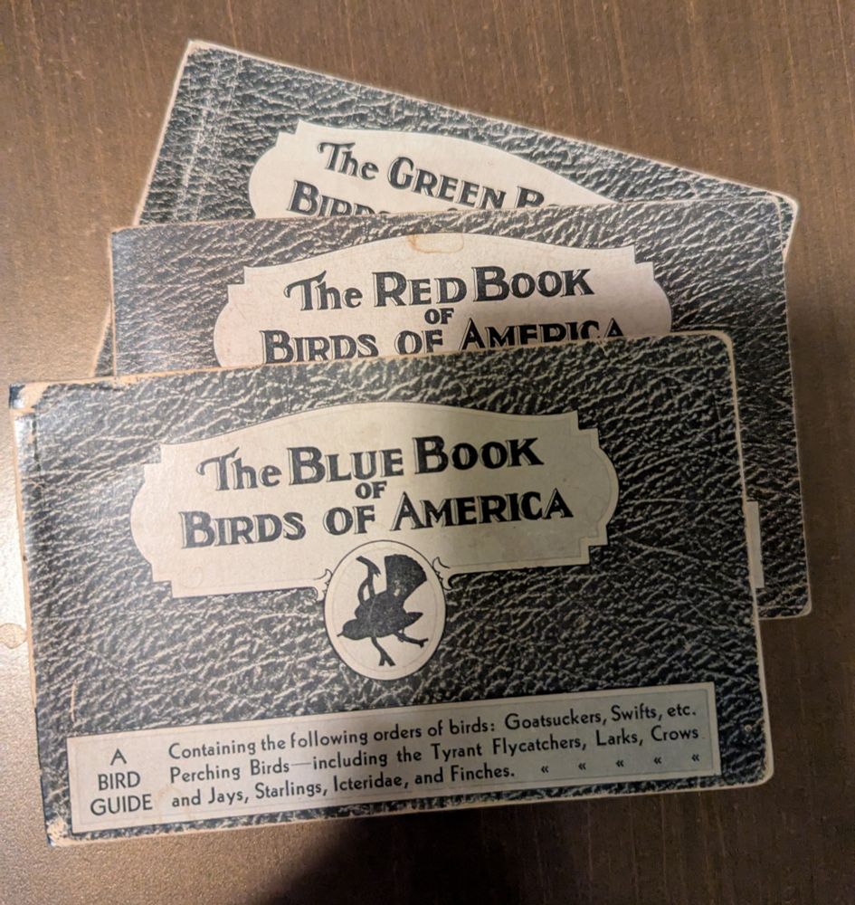Three small books in a stack: The Blue, Red, and Green Books of Birds of America