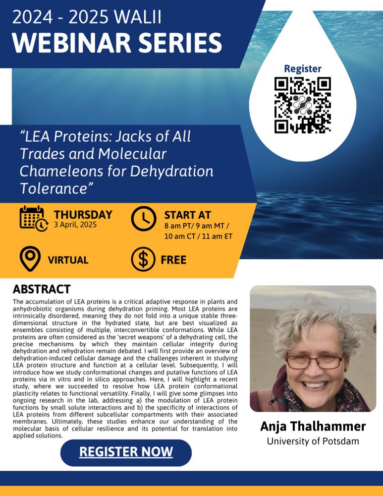 A promotional flyer for Dr. Anja Thalhammer's talk at the WALII Webinar Series. The talk is on Lea Proteins and their dehydration tolerance.. The talk is at 11 am EST on April 3.