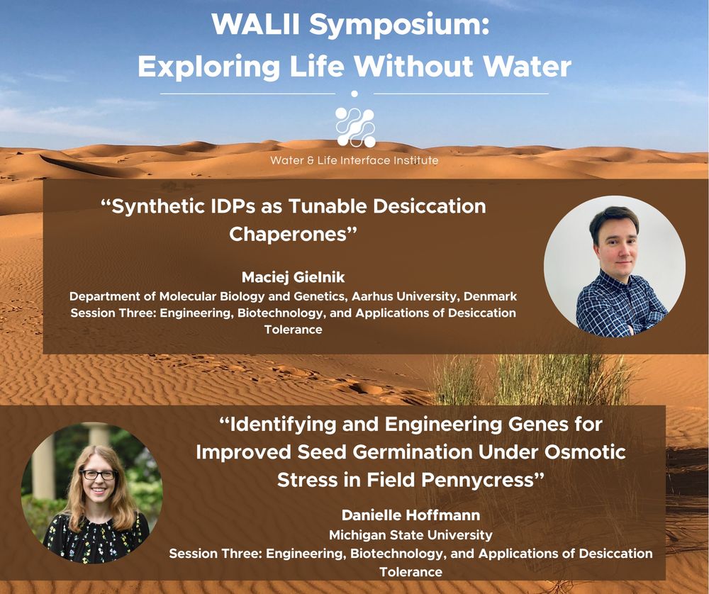 Promotional graphic for the WALII Symposium that features two speakers' headshots and their talk titles with a desert theme.