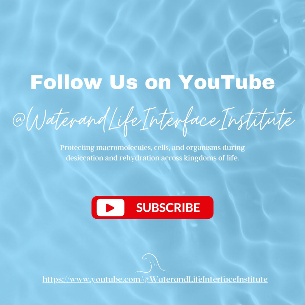 Promotional graphic with a blue, water background that says "Follow us on Youtube @WaterandLifeInterfaceInstitute Protecting macromolecules, cells, and organism during dessiccation and rehydration across kingdoms of life." 