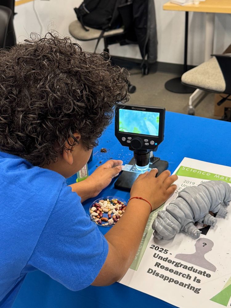 A child looks under a microscope to find tardigrades at the WALII Life Without Water booth. 
