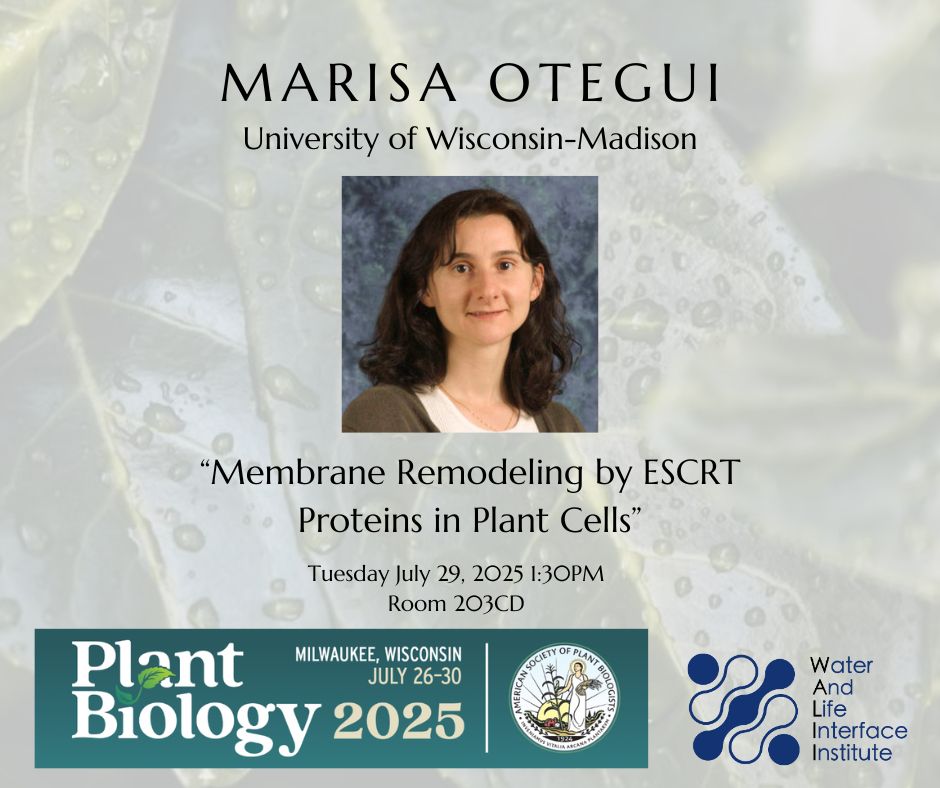 Promotional image with a transparent, leafy green background. The text on the image reads, "Marisa Otegui, University of Wisconsin-Madison. 'Membrane Remodeling by ESCRT Proteins in Plant Cells' Tuesday July 29, 2025 1:30PM. Room 203CD." The promo also has an image of Marisa, a woman with shoulder-length darn hair as well as the logos for the ASPB Plant Biology Conference and the Water and Life Interface Institute.