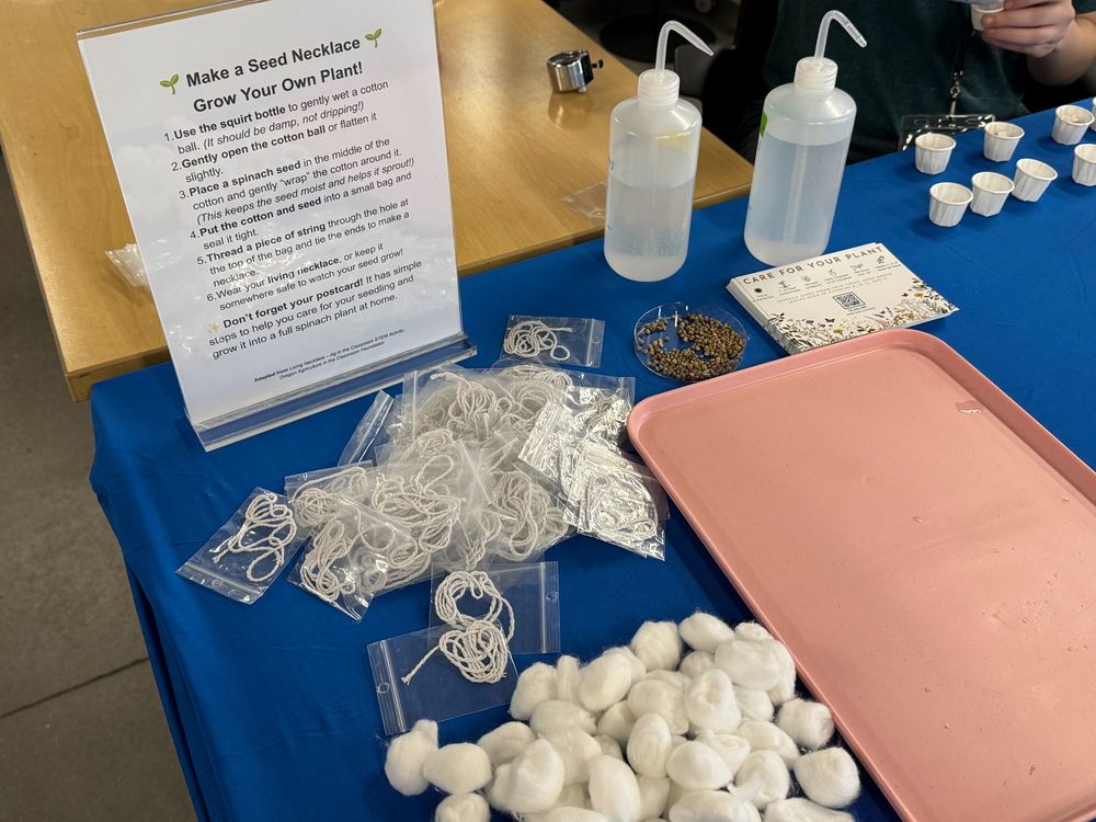 The seed necklace station at the WALII Life Without Water booth. The station includes instructions, cotton balls, twine for the necklace, seeds, and water.
