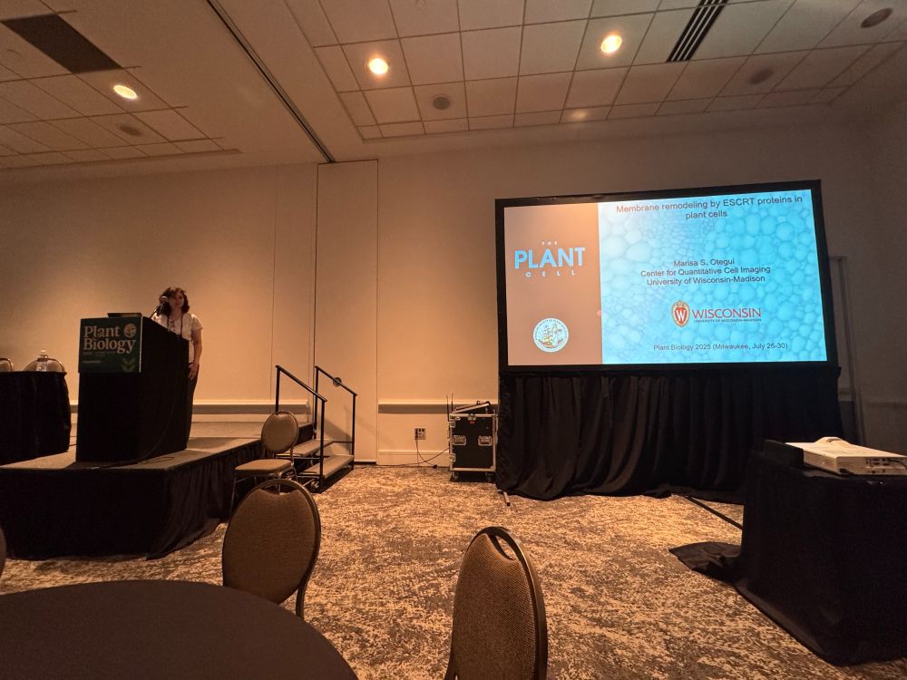 A speaker stands on a stage giving a presentation. To the right of the image is a screen with a slideshow presentation projected on it. 
