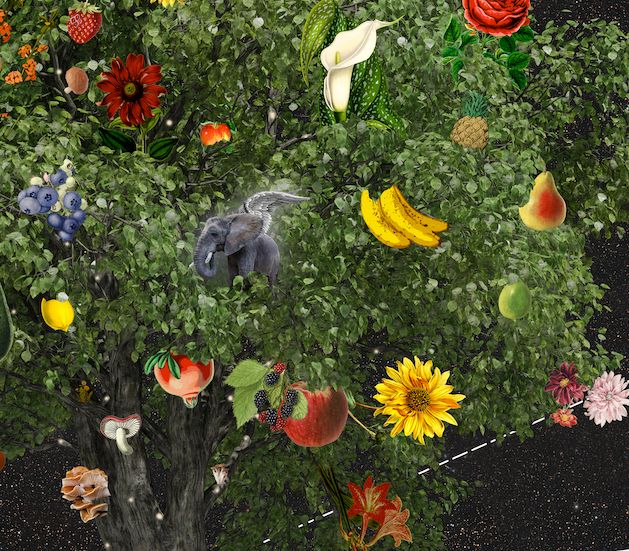 A close up of a tree in space with a winged elephant (a pegaphant) nestled near the center surrounded by a variety of fruit and flowers.
