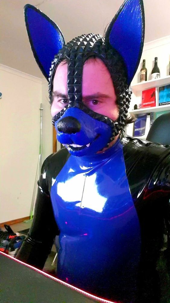 My Rubberdawg muzzle hood. (2020)