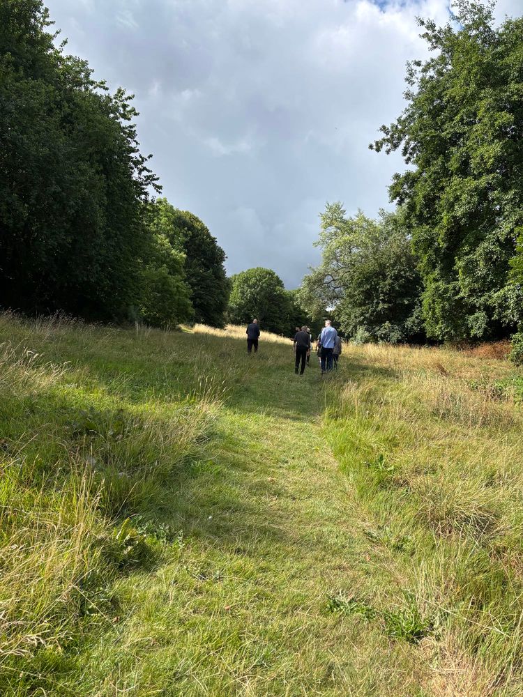 Mown grass paths through the meadow with some of the team walking through the tree-lined landscape 